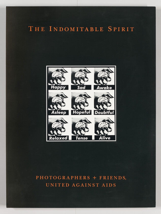 Book cover titled The Indomitable Spirit showing nine labeled emotion panels and united against AIDS text.