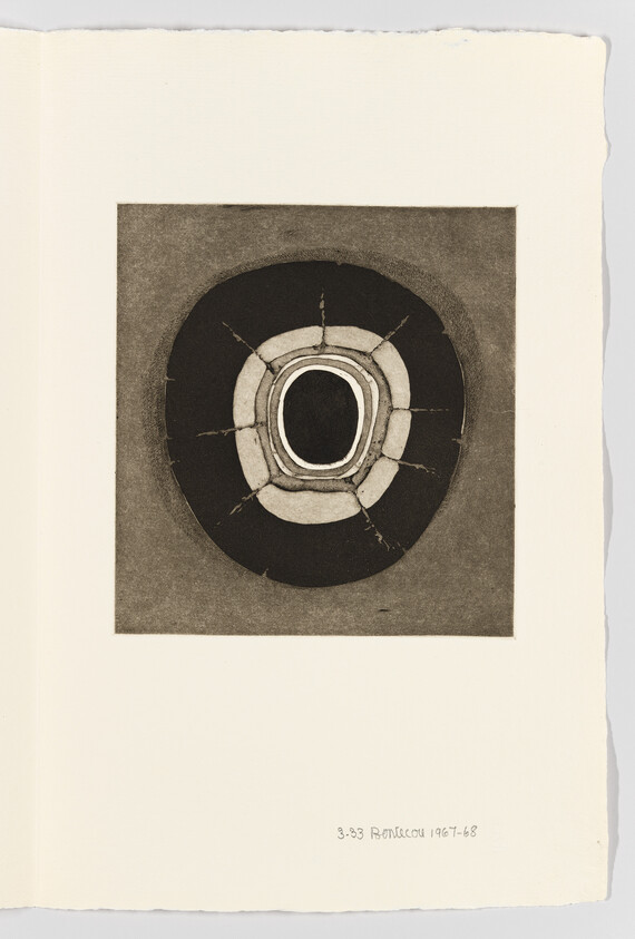 Concentric dark and light rings with radial cracks forming an abstract target-like shape.