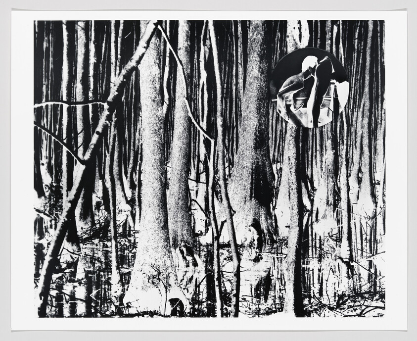 Dense black-and-white swamp with tall cypress trunks and a small circular inset showing a seated person.