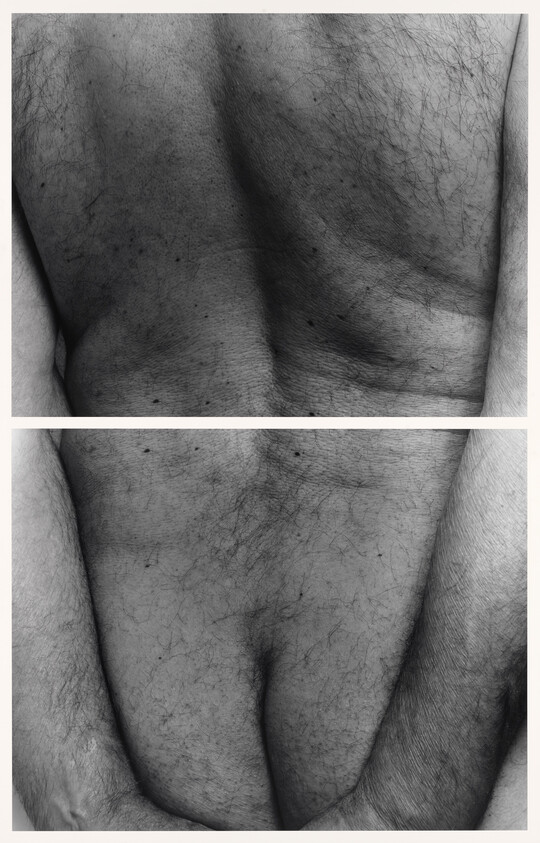 A man's hairy backside, from shoulders to buttocks, framed by two arms, shown acros two photographs