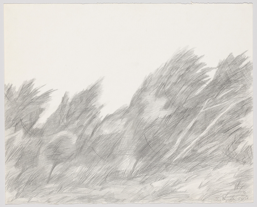 Pencil sketch on paper depicting an abstract landscape with dynamic, textured strokes suggesting movement, possibly representing wind-swept trees or grass. The artist's signature and date are visible in the lower right corner.