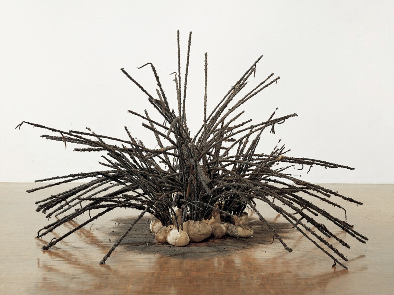 A cluster of long, bending, caked black rods emerges from a nest of rocks. The rocks sit on a patch of black, ash-like material.