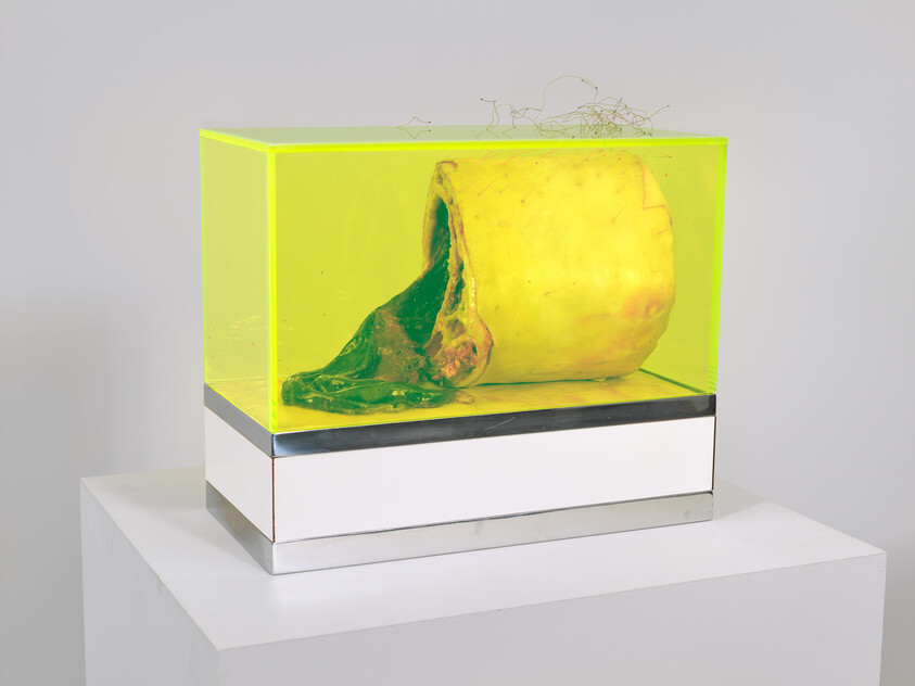 A yellow and green abstract sculpture inside a transparent box on a white pedestal.