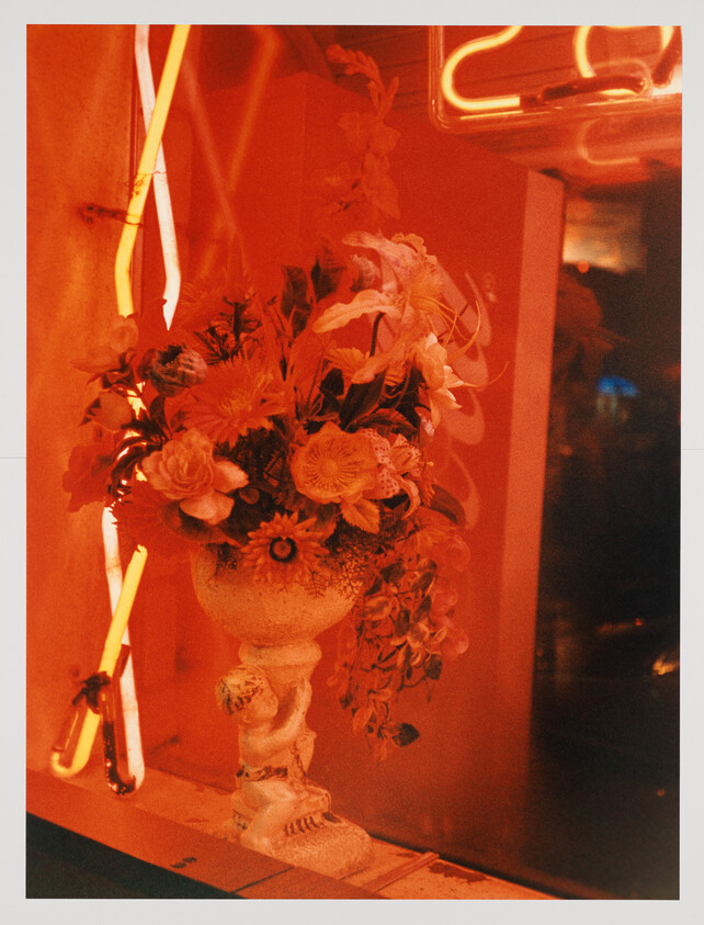 A floral arrangement in an ornate urn bathed in red neon light.