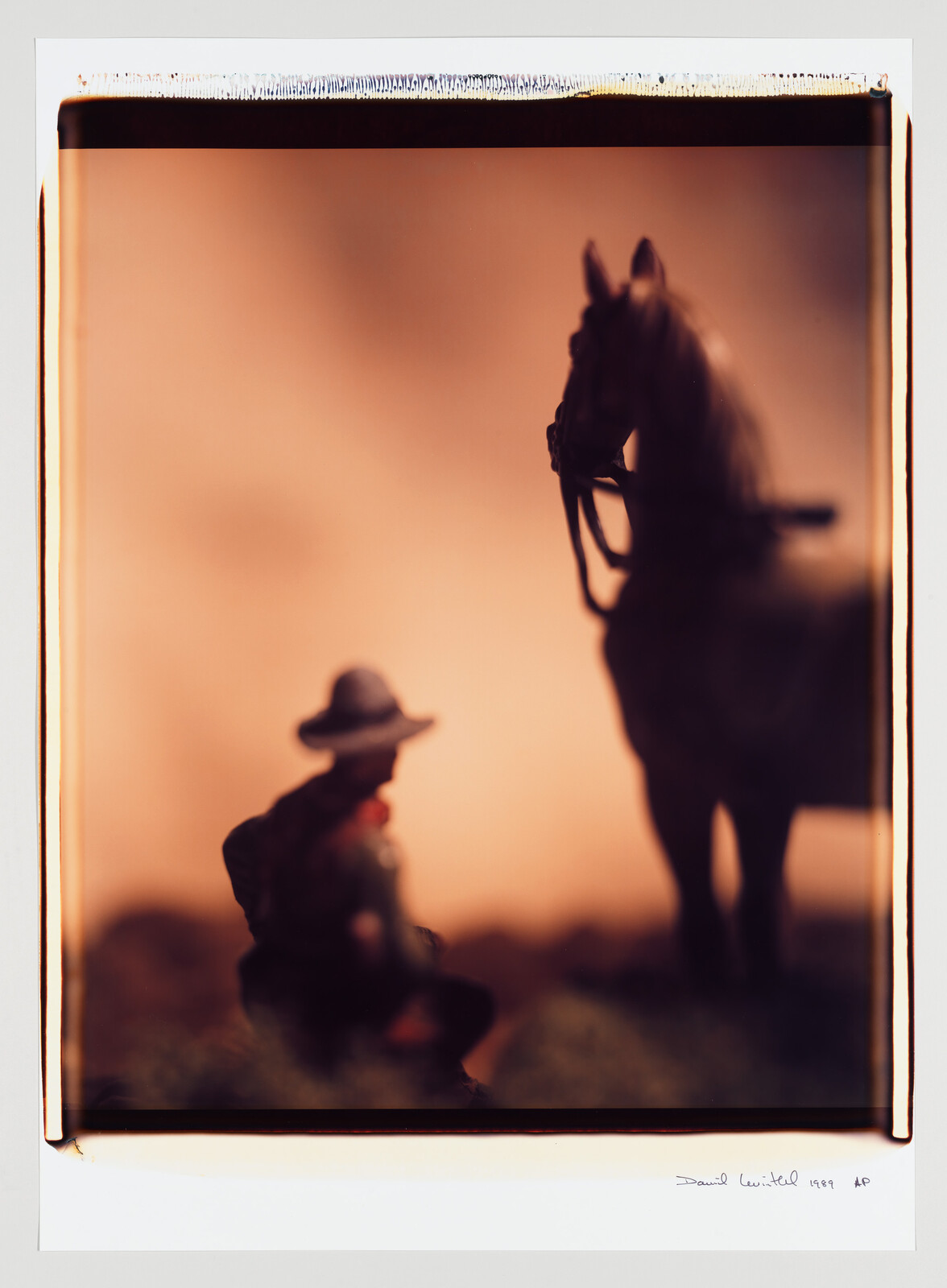 A silhouetted cowboy kneels near a standing horse against a warm, blurred background.