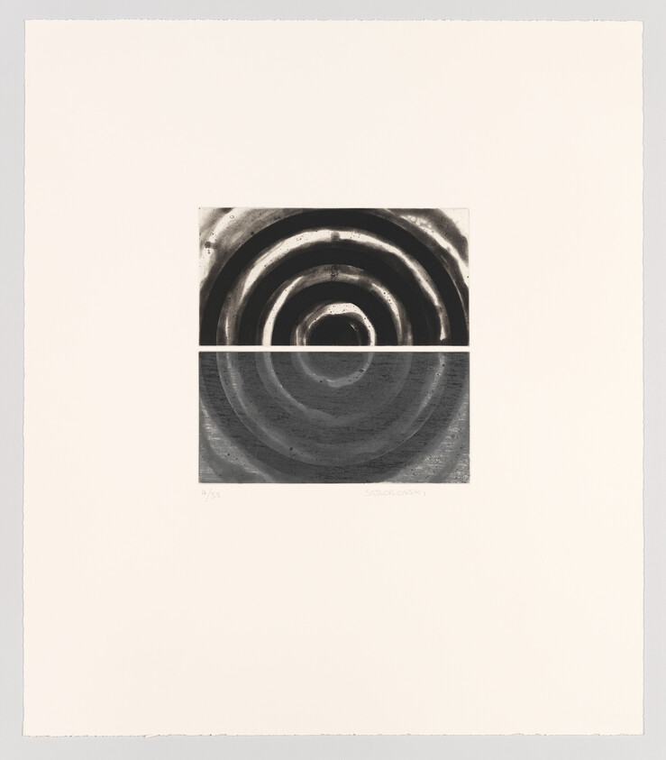 Two stacked rectangular panels showing concentric black and gray rings on a large white sheet.