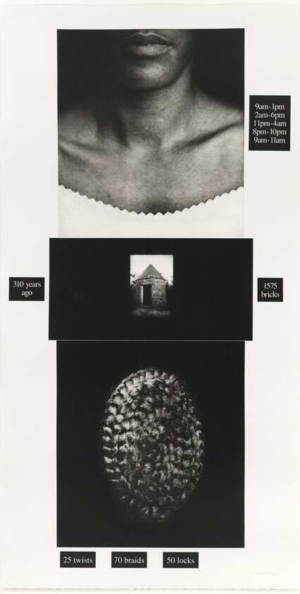 Close-up of a woman's neck and braided hair with small house image and labels counting twists, braids, and locks.