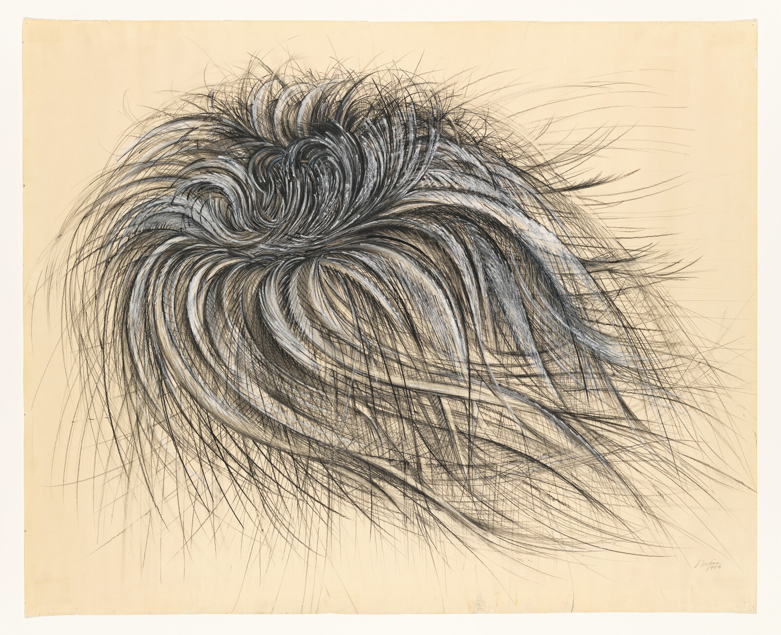 A swirling mass of long black and white hair-like strokes forming a whirl on a beige background.
