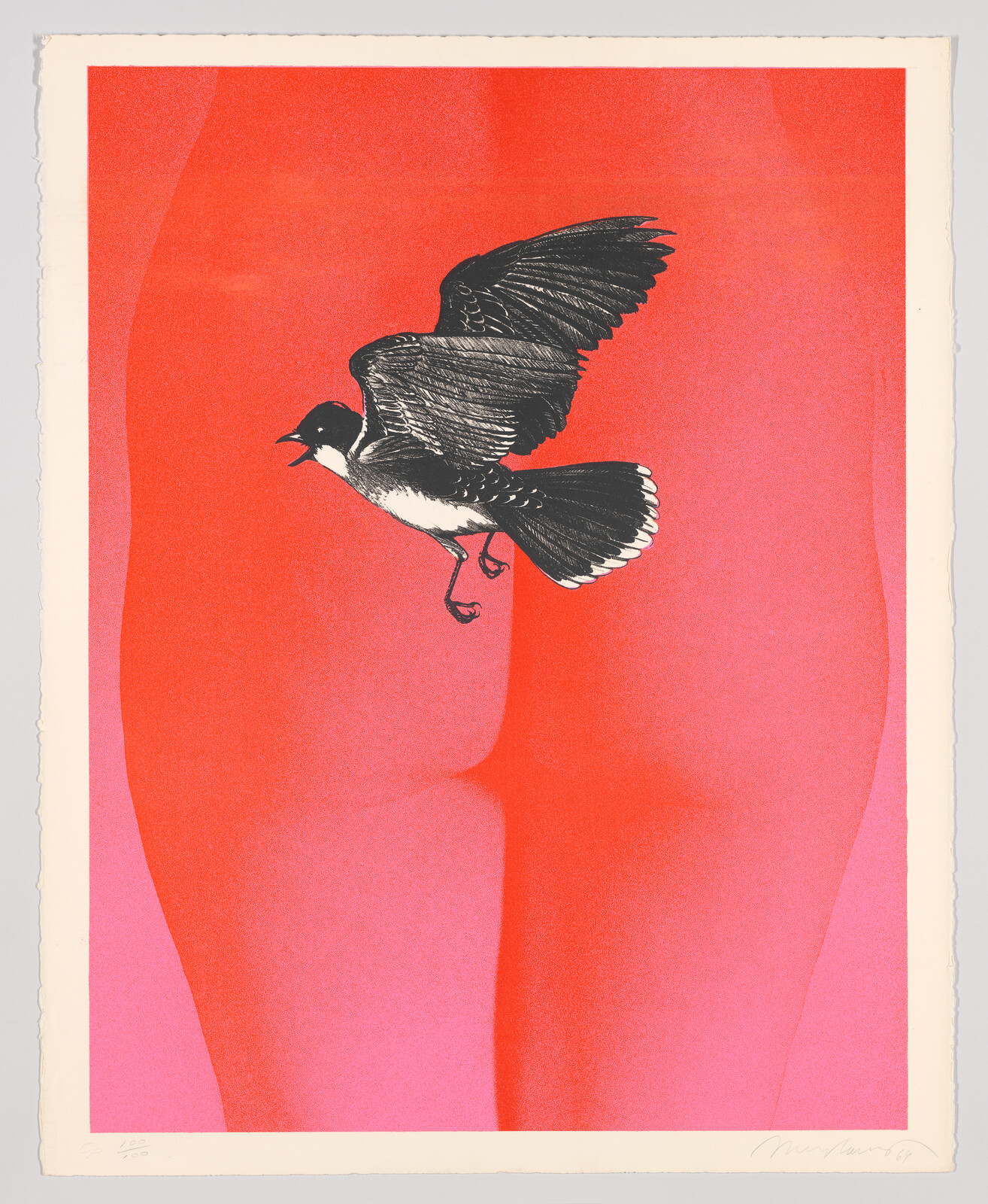 A black-and-white bird flies over bold red and pink shapes resembling a human backside.