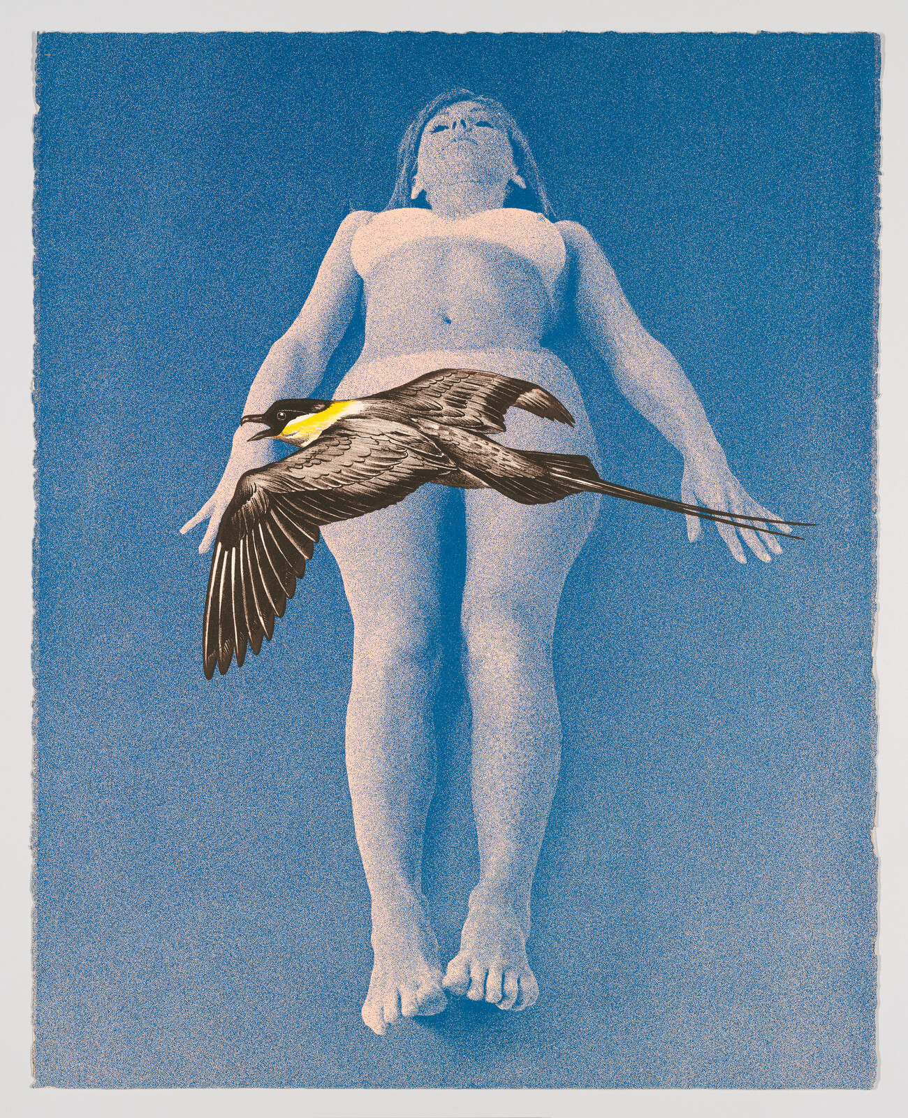 A woman lying on her back in underwear with a large bird flying across her torso.