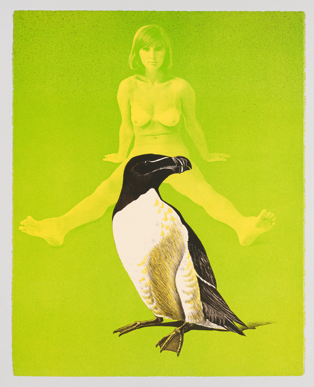 A large penguin stands in front of a translucent nude woman sitting with legs spread on a green background.
