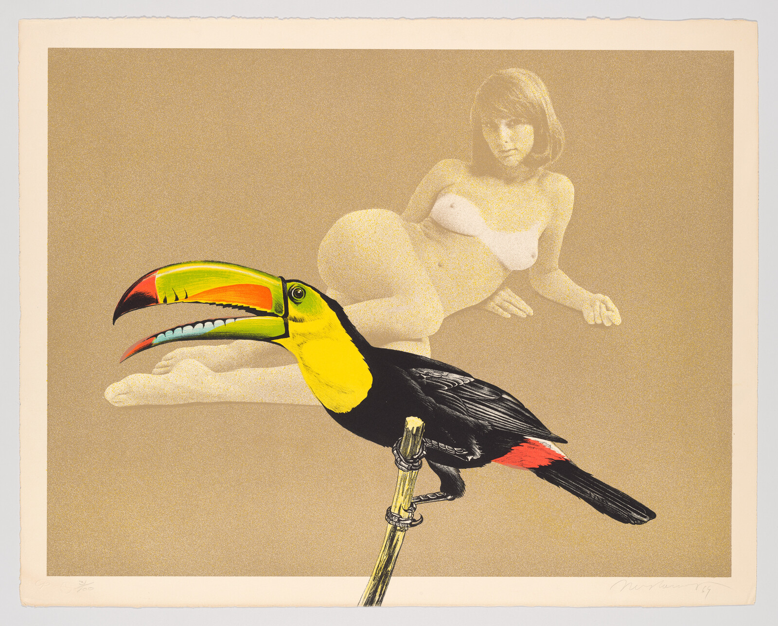 A colorful toucan perches on a stick in front of a reclining woman in a sepia background.