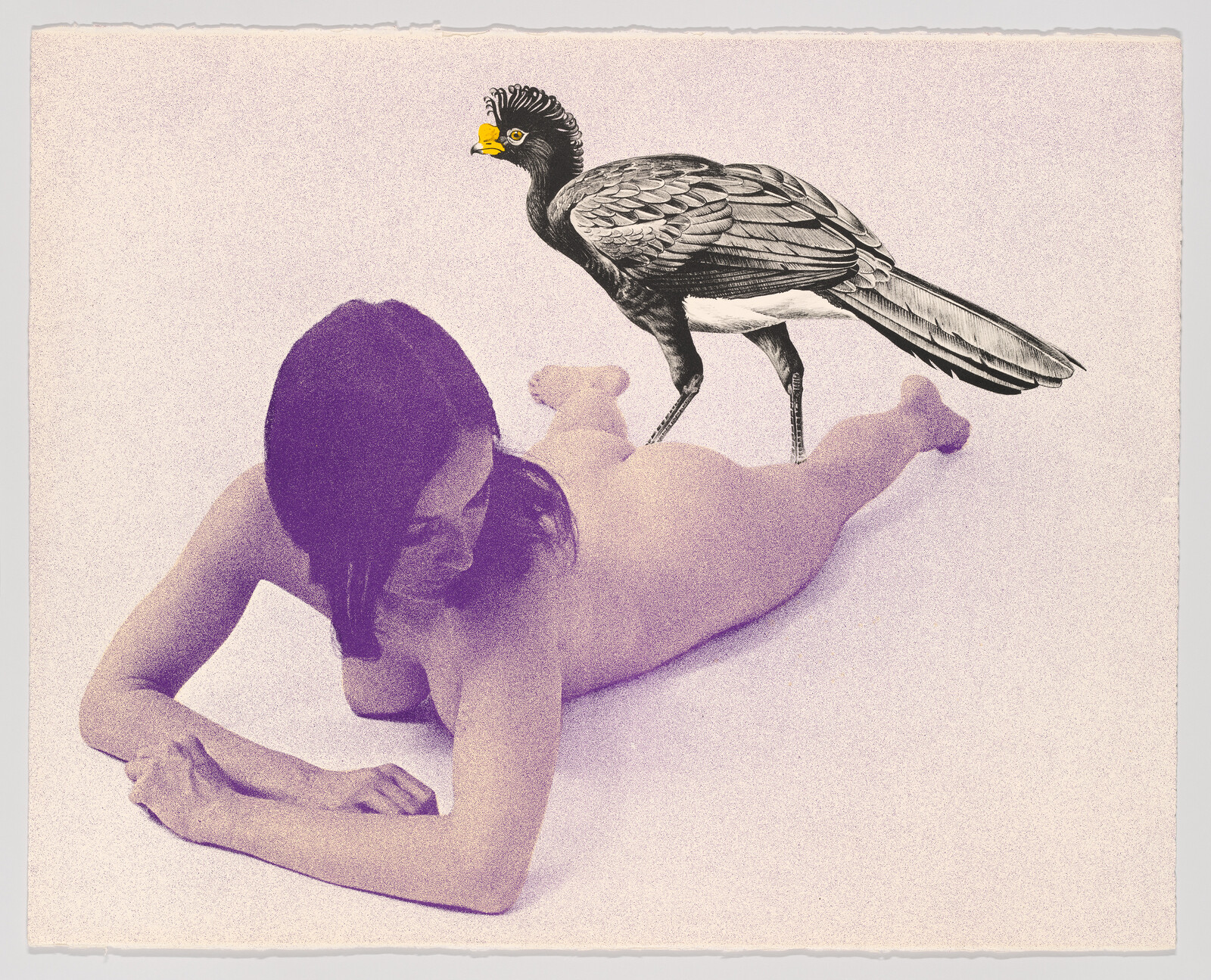 A reclining nude woman looks down while a large illustrated bird stands on her lower back.