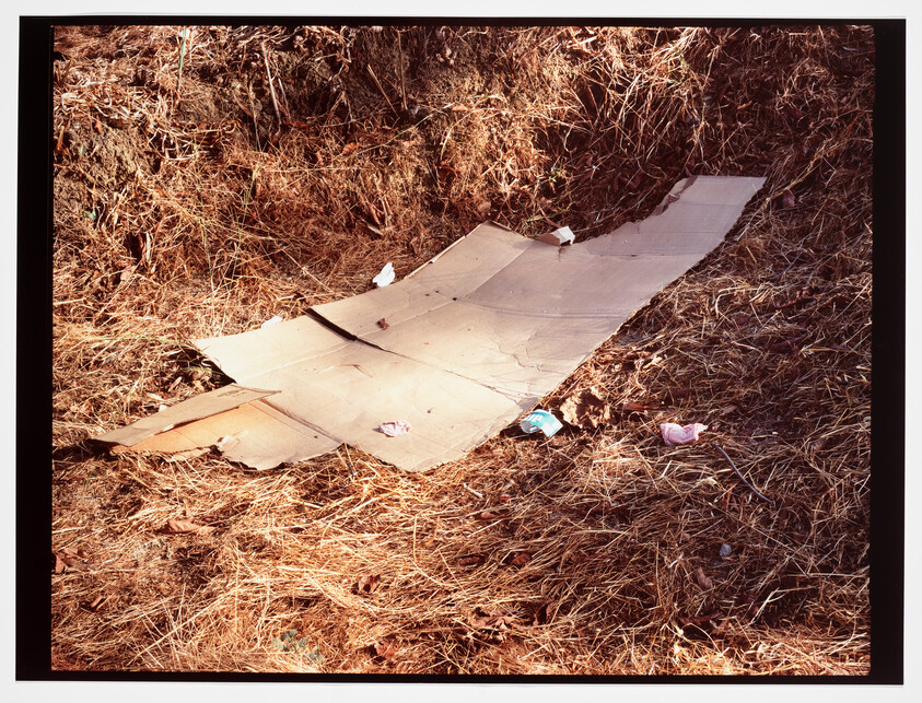 Flattened cardboard lies on dry grass amid scattered small pieces of litter.
