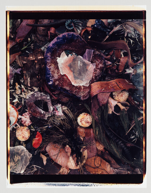 A clear quartz crystal rests on a purple geode surrounded by dried leaves and small flowers.