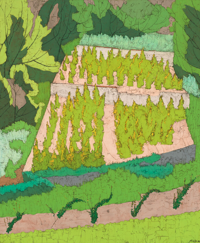 Terraced garden beds with neatly planted rows of small shrubs and surrounding leafy trees.