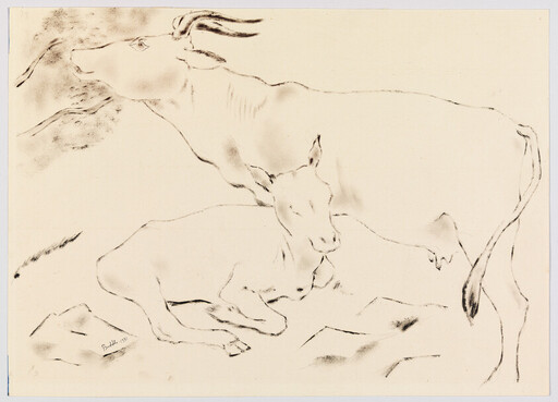 Two cows resting, one lying down while the other stands protectively beside it.