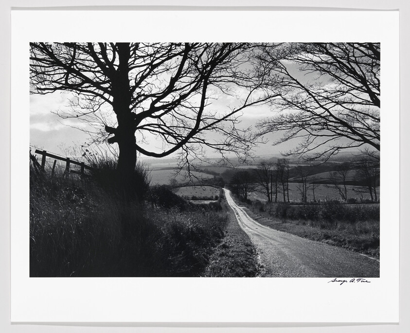Black and white photo of a bare tree silhouetted against a cloudy sky, overlooking a winding country road.