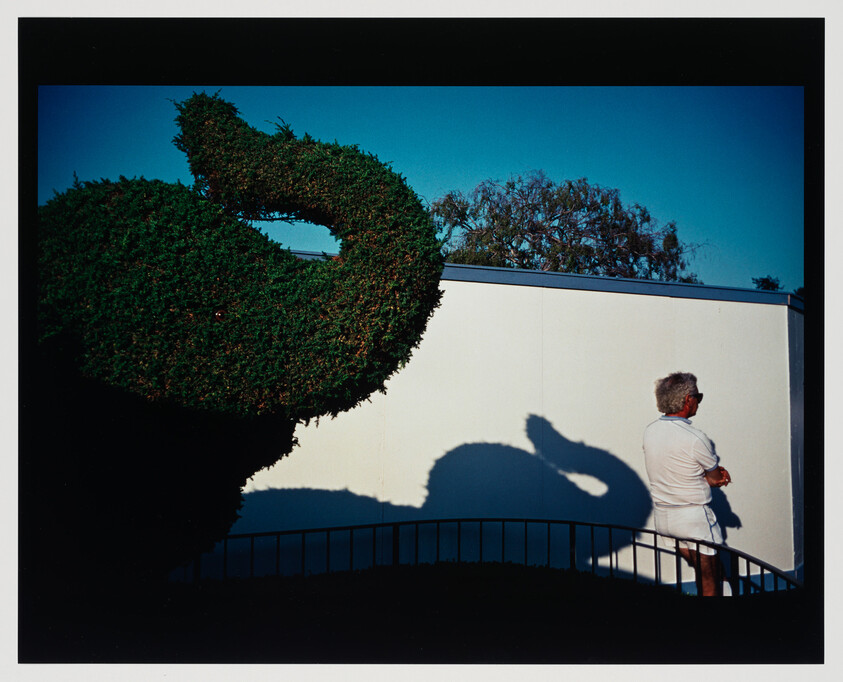 Man stands with arms crossed as a topiary casts an elephant-like shadow on the wall.