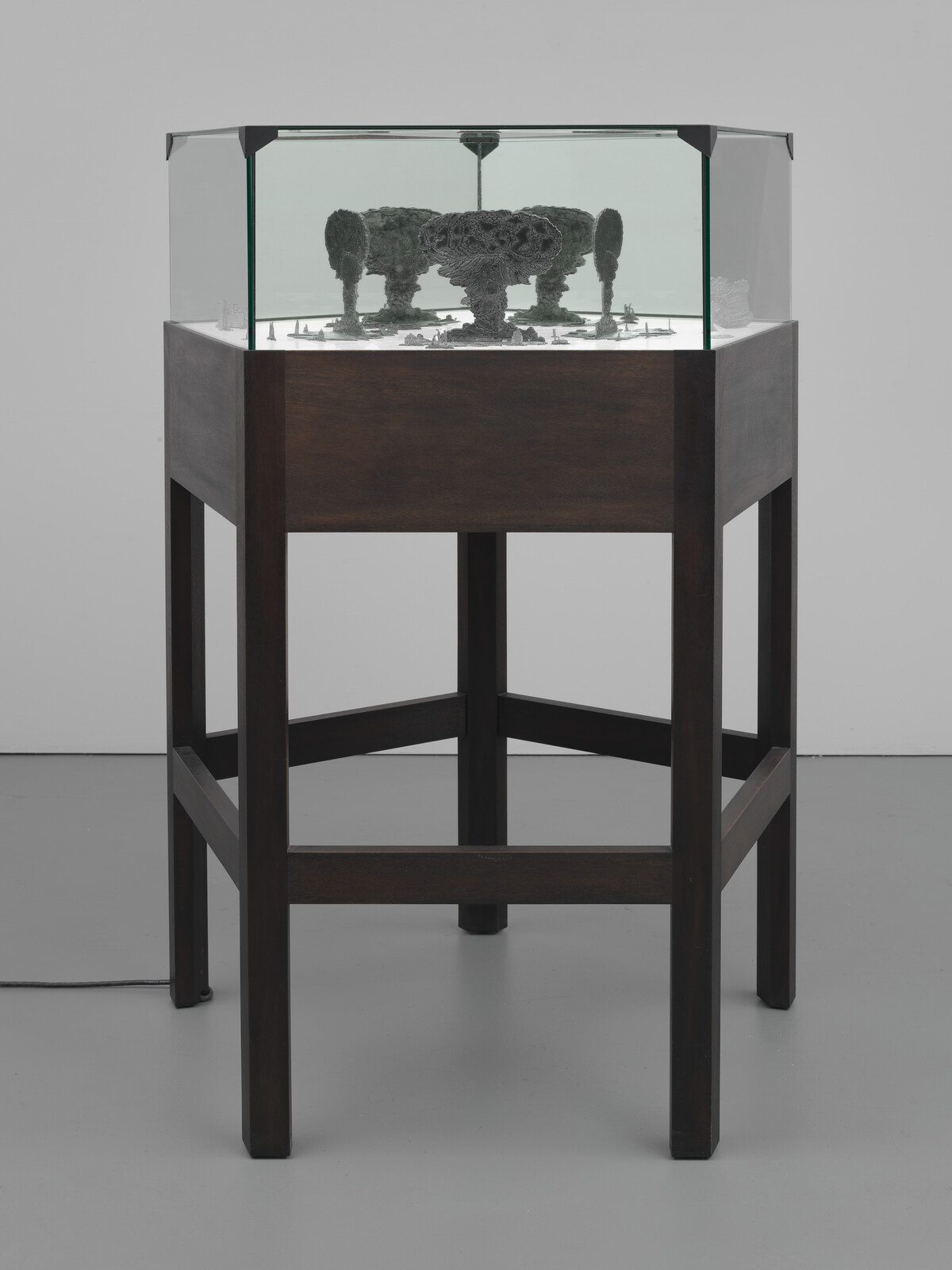 Glass display case on a dark wooden stand containing small dark sculptural forms on a white base.
