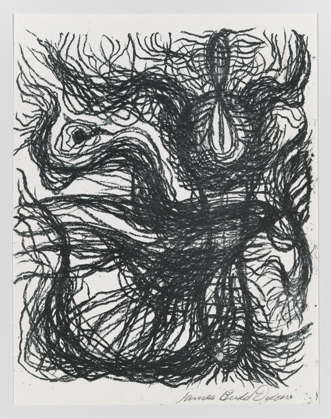 Tangled black charcoal lines form an abstract creature with wing-like and root-like extensions.