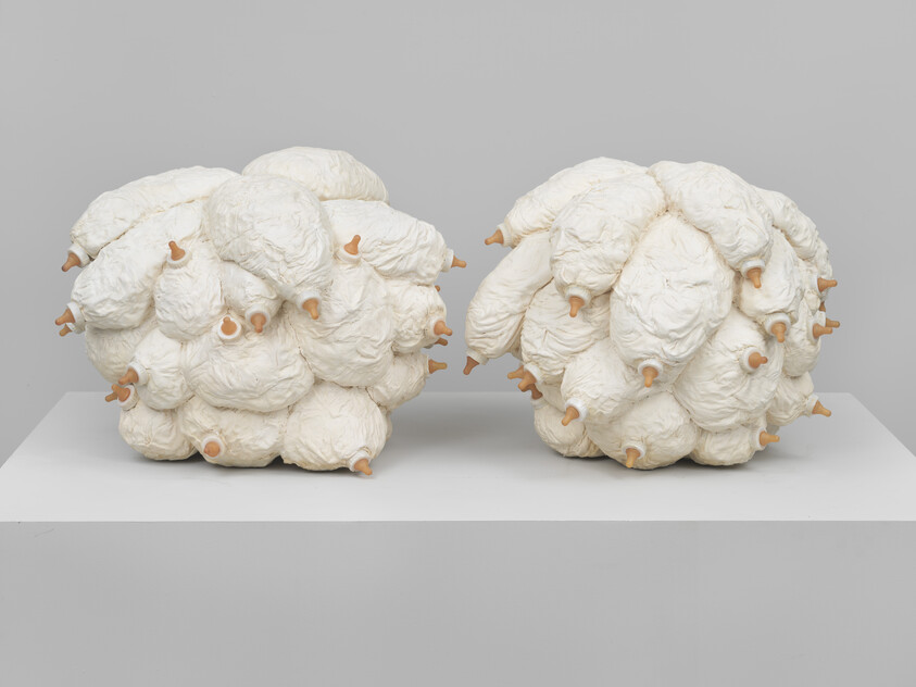 Two large, rounded sculptures resembling clusters of white, textured pods or organic shapes with multiple small, nipple-like protrusions, displayed on a flat surface against a neutral background.