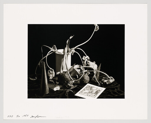Wilted tulips with long drooping stems spill from a cup beside scattered objects and a postcard.