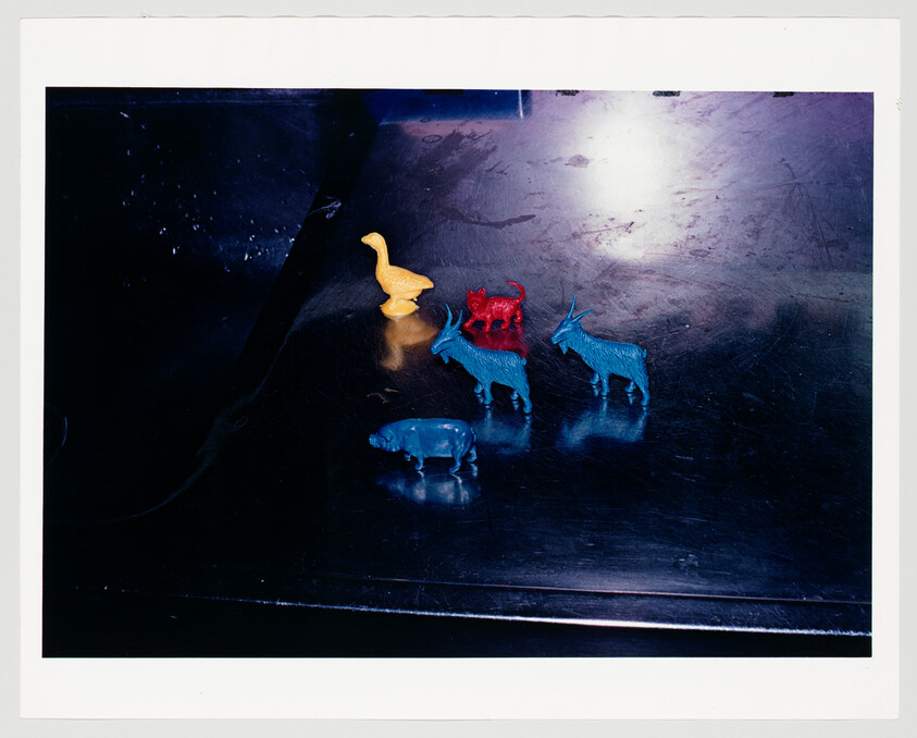 Five small plastic animal figurines, including a yellow bird and blue goats, sit on a dark reflective surface.