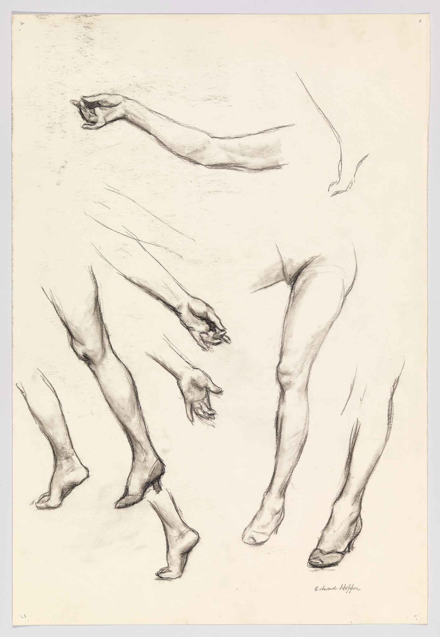 A sketch featuring various studies of human limbs, including arms, hands, legs, and feet, with emphasis on the musculature and movement. The artist's signature is visible at the bottom right.