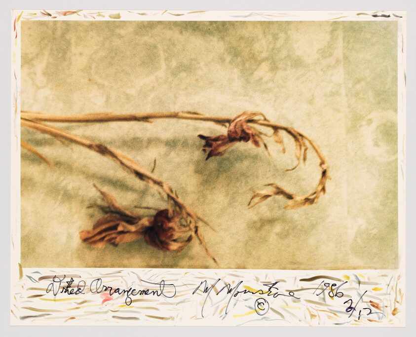 Two dried, wilted flower stems lie on a textured background with a handwritten title and signature below.