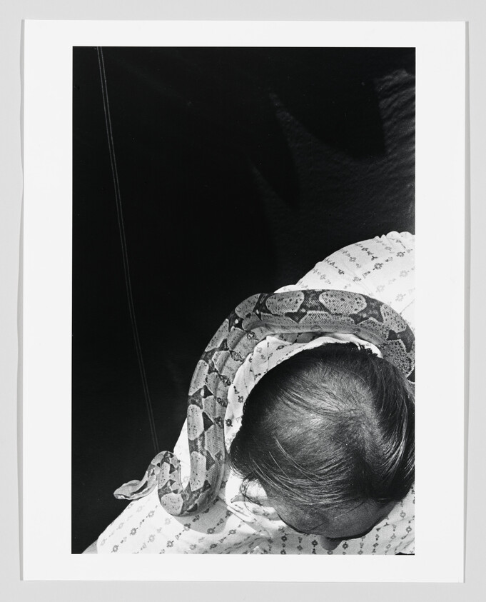 An infant rests while a patterned snake is draped over the baby's shoulders and head.