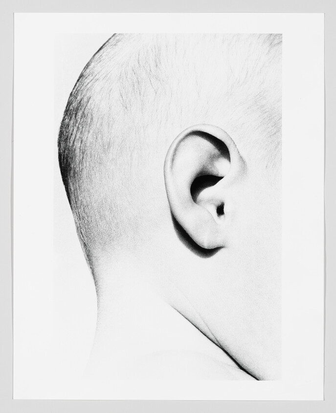 Close-up of the back of a baby's head showing the ear and neck curve.