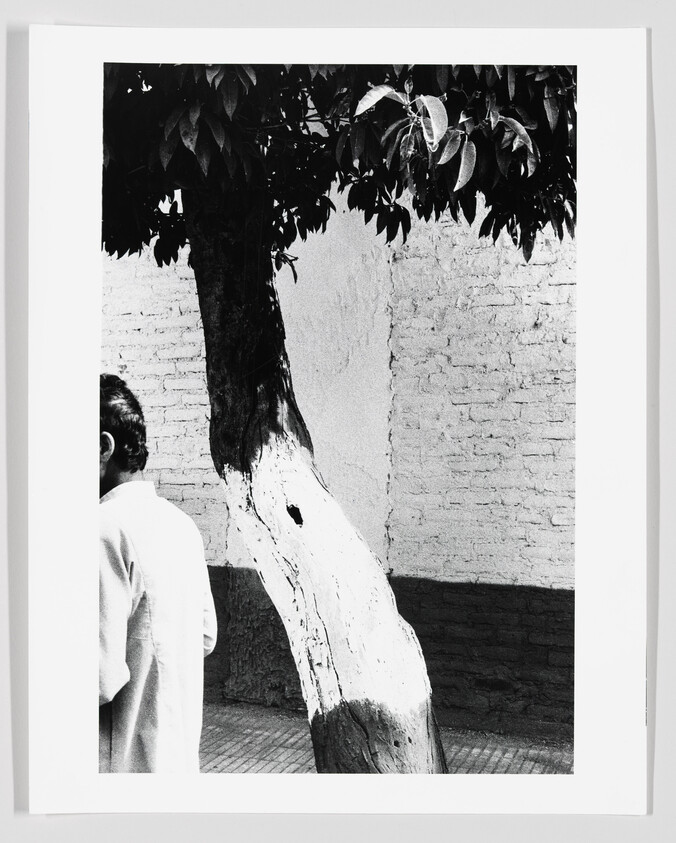 A painted tree trunk stands against a brick wall while a person walks past on the left.