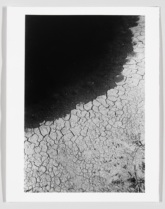 Dry cracked ground transitions to dark water along a curved shoreline with sparse vegetation.