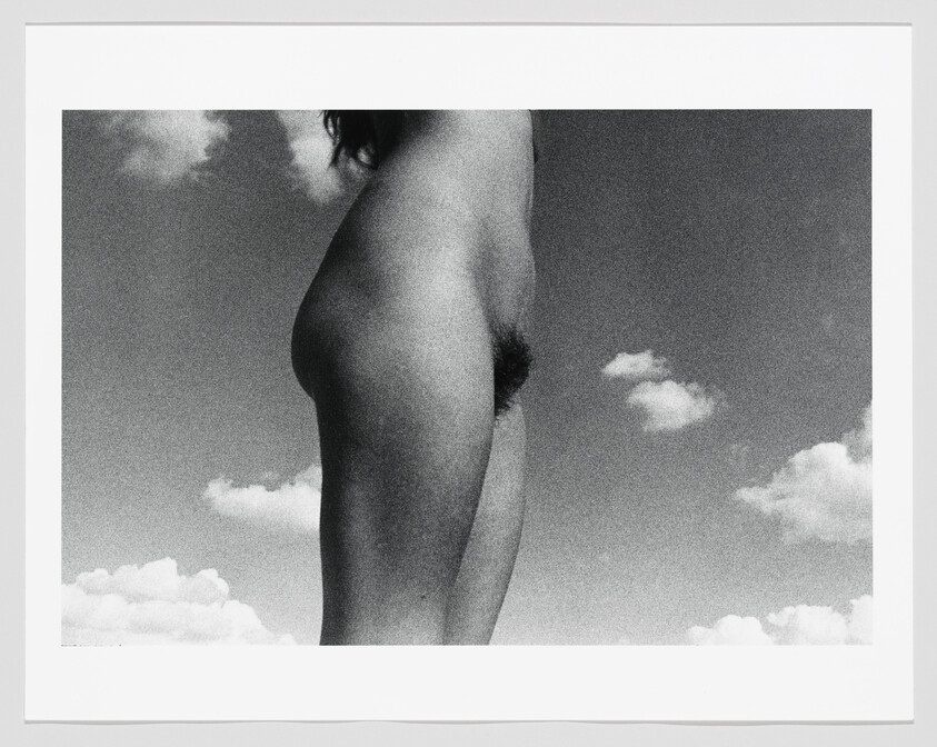 Nude person's side profile standing against a cloudy sky, showing torso and pubic area.