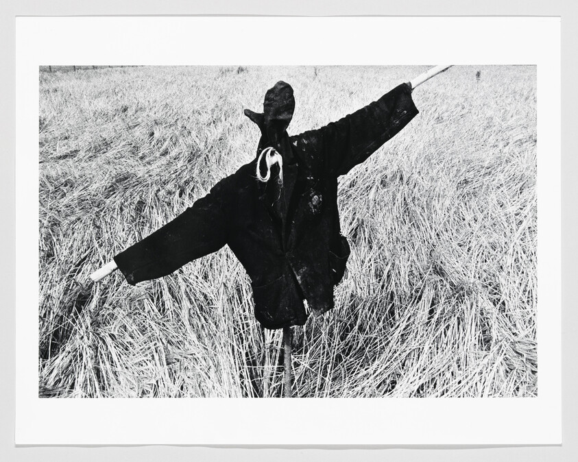 A tattered scarecrow wearing a dark jacket stands with outstretched arms in a dry field.