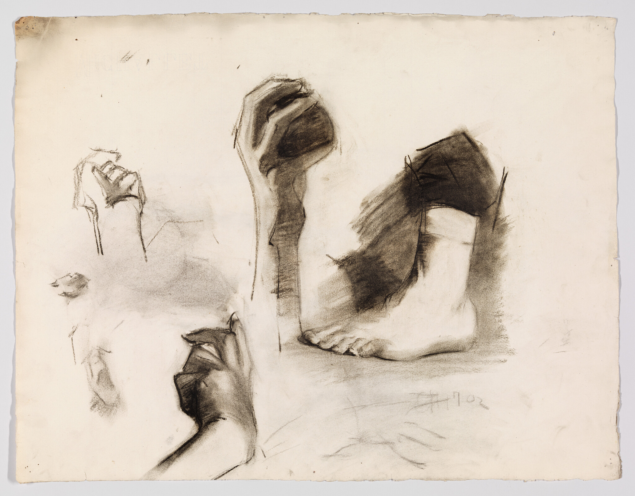 Several charcoal studies of a foot and hands showing different positions and shading.