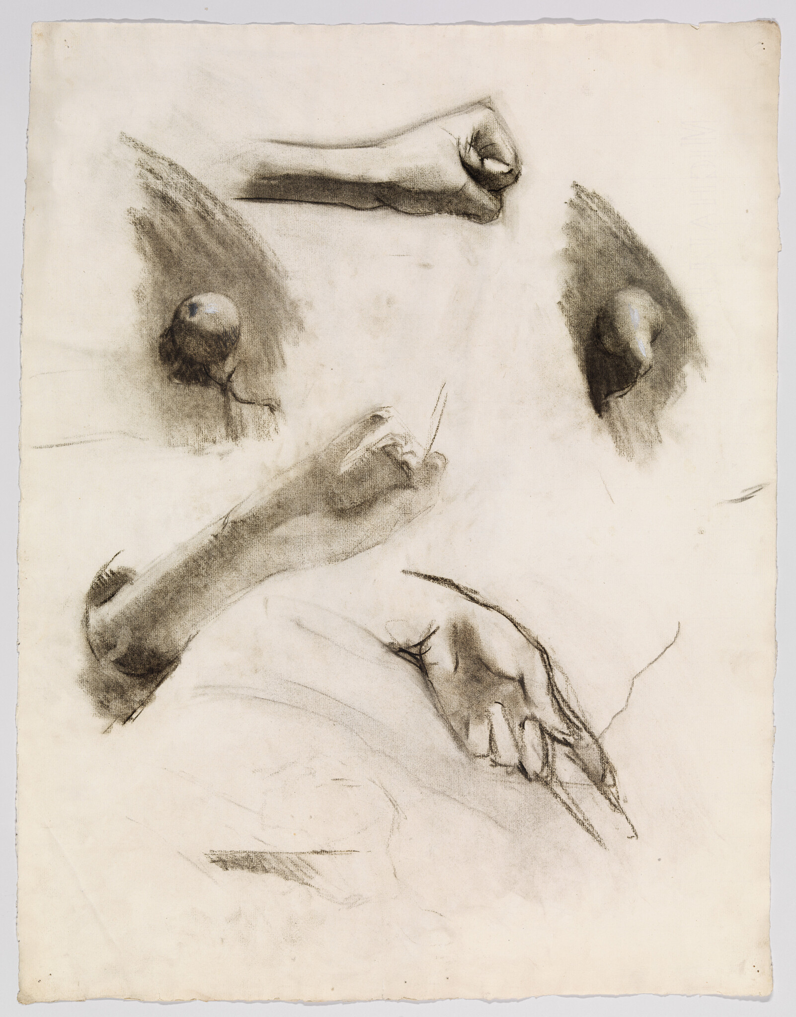 Several charcoal studies of hands in different positions, including a fist and a hand holding a thin stick.