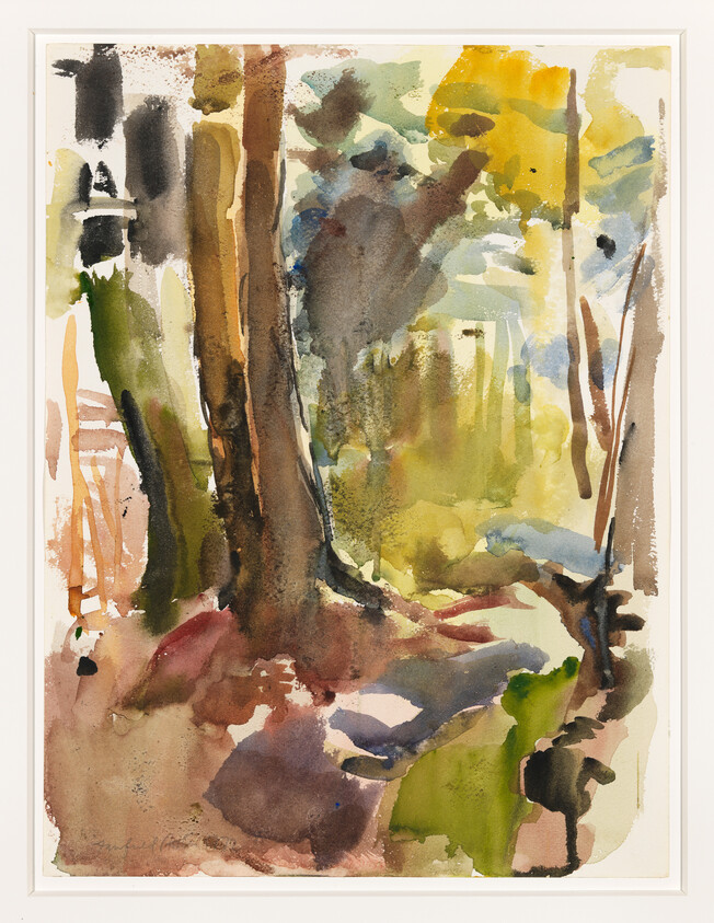 Loose watercolor painting of a sunlit forest with tall trees and scattered green and brown shapes.