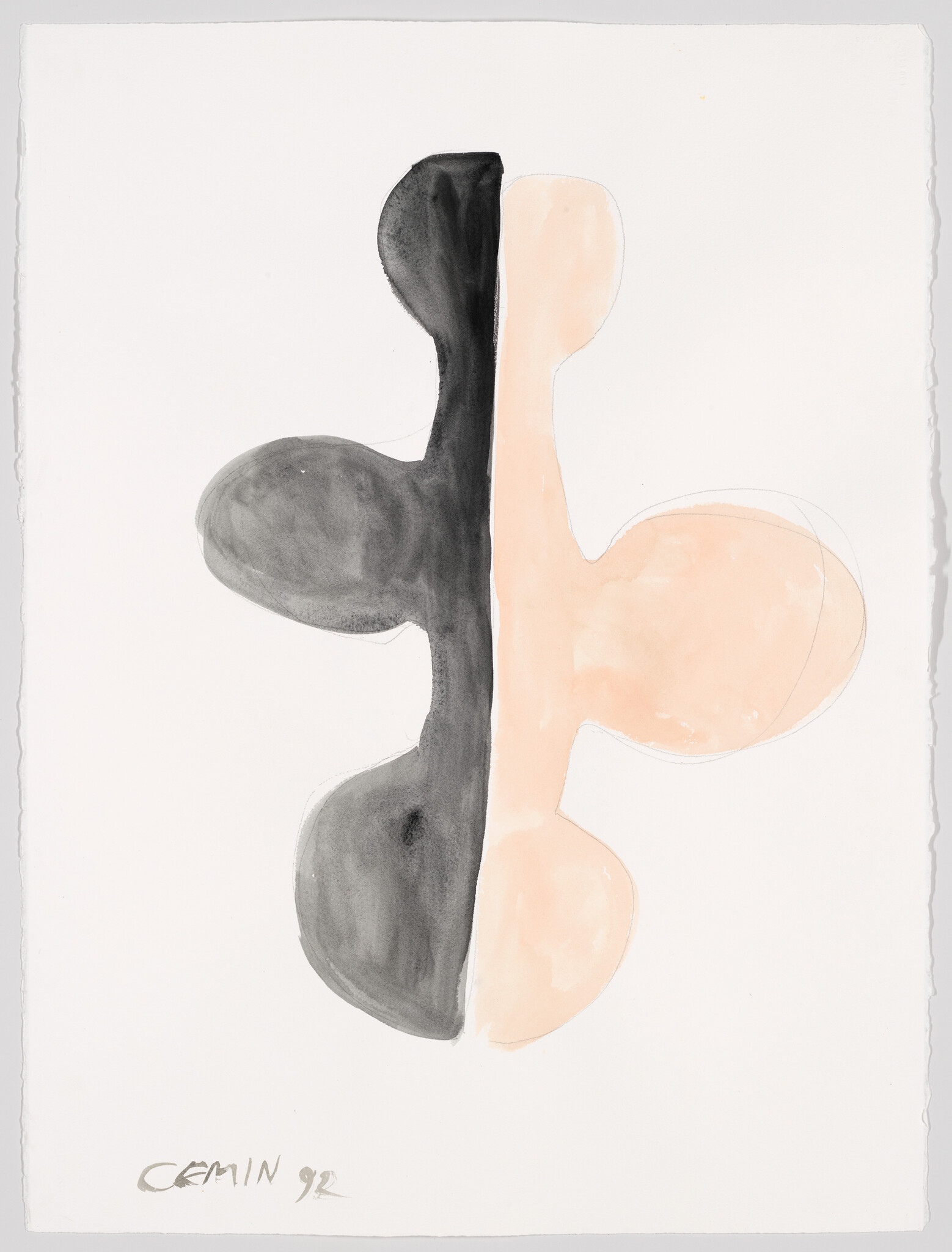 Abstract vertical form split down the middle with black watercolor on left and pale peach on right.