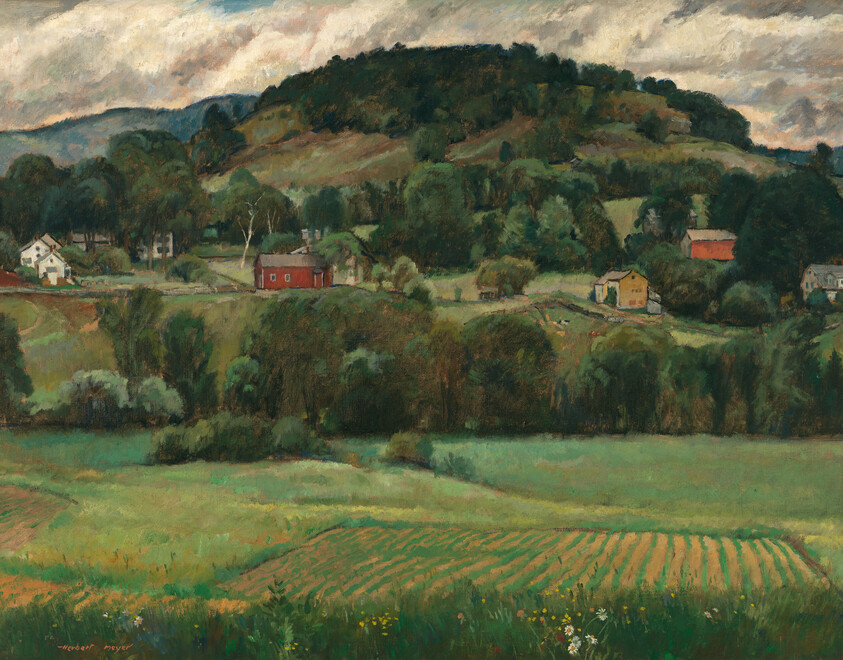 Green farmland with cultivated rows in the foreground and houses and a wooded hill in the background.