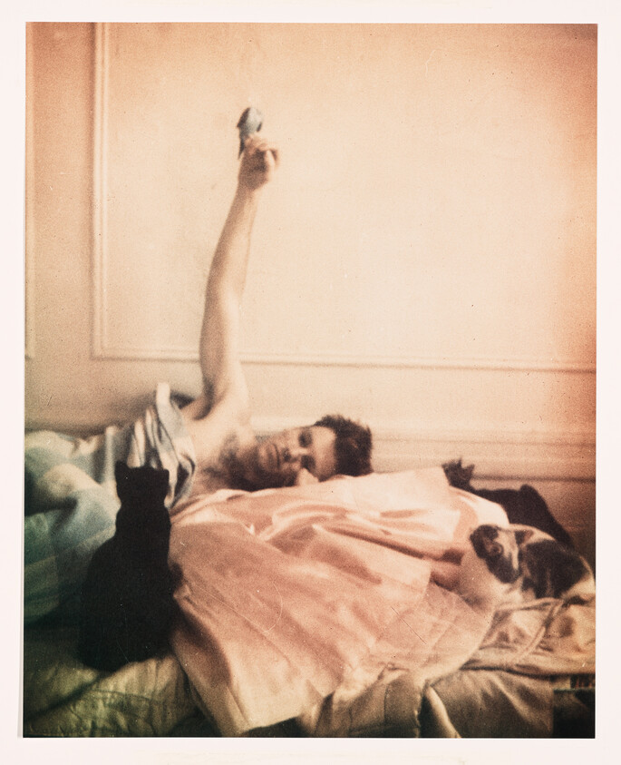 A person lies in bed holding a small bird aloft while a black cat and dog watch.