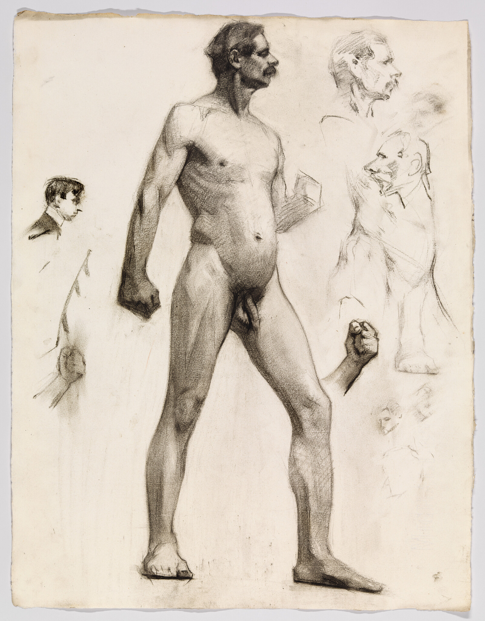 Nude male figure standing in contrapposto with clenched fists and several head and hand sketches.