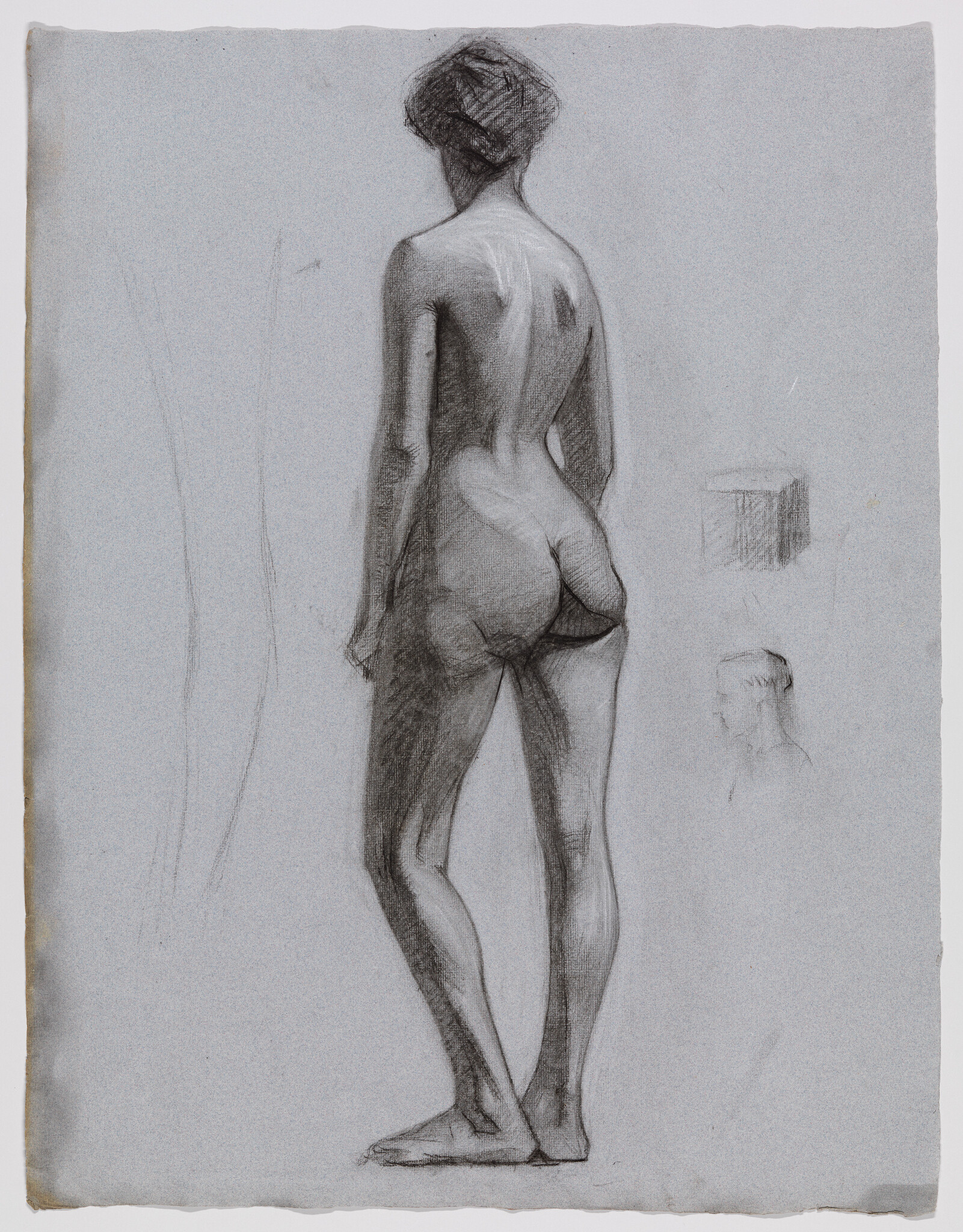 A standing nude woman seen from the back in a detailed charcoal figure study.