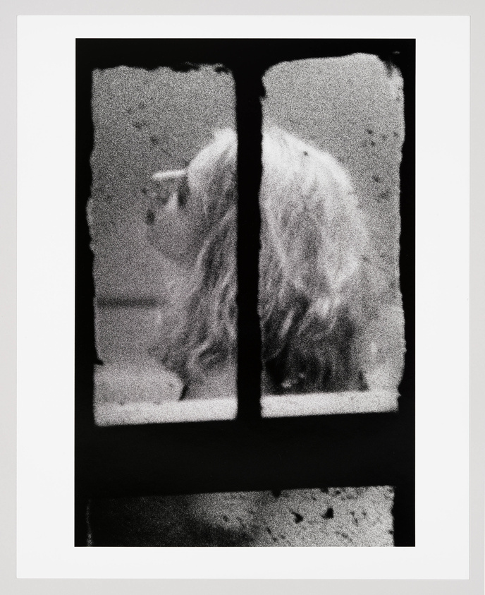 A grainy image seen from a window of a blonde white woman as she fixates her gaze upwards