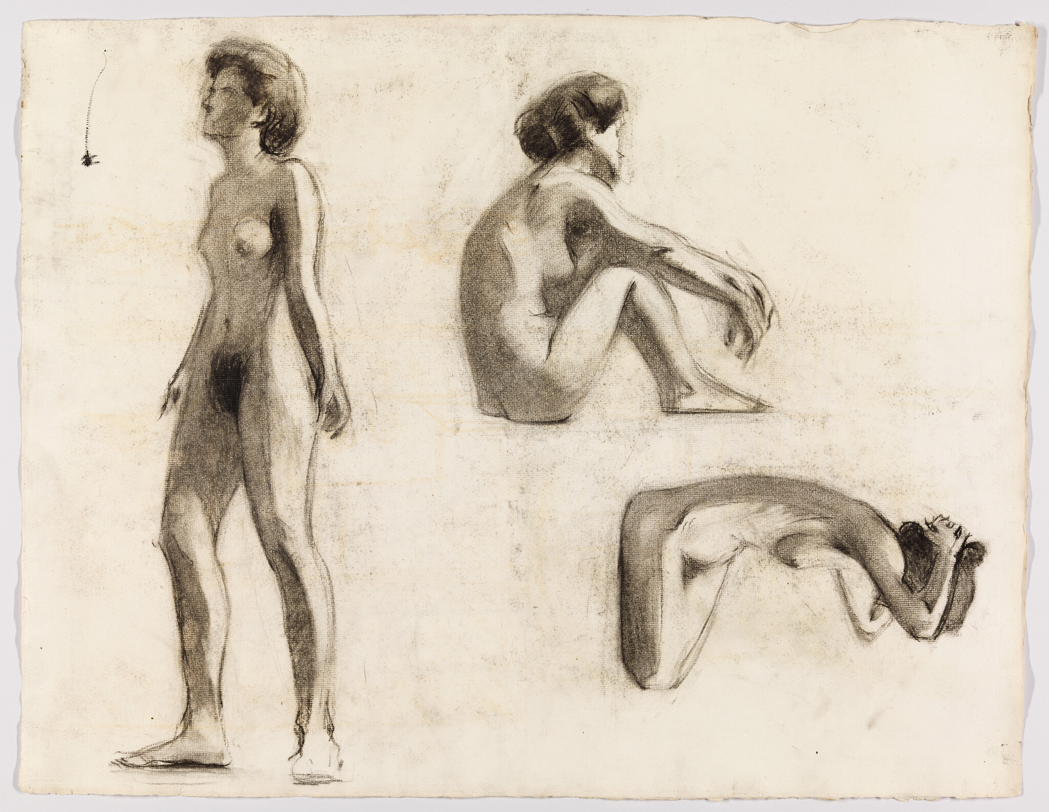 Three charcoal studies of a nude woman standing, sitting with knees bent, and curled forward.