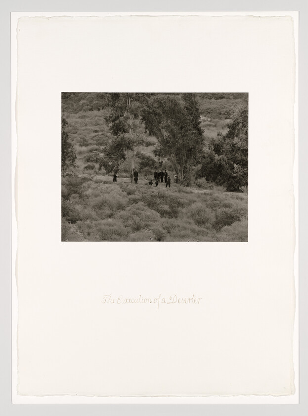 A small group of people standing together on a grassy hillside near tall trees.