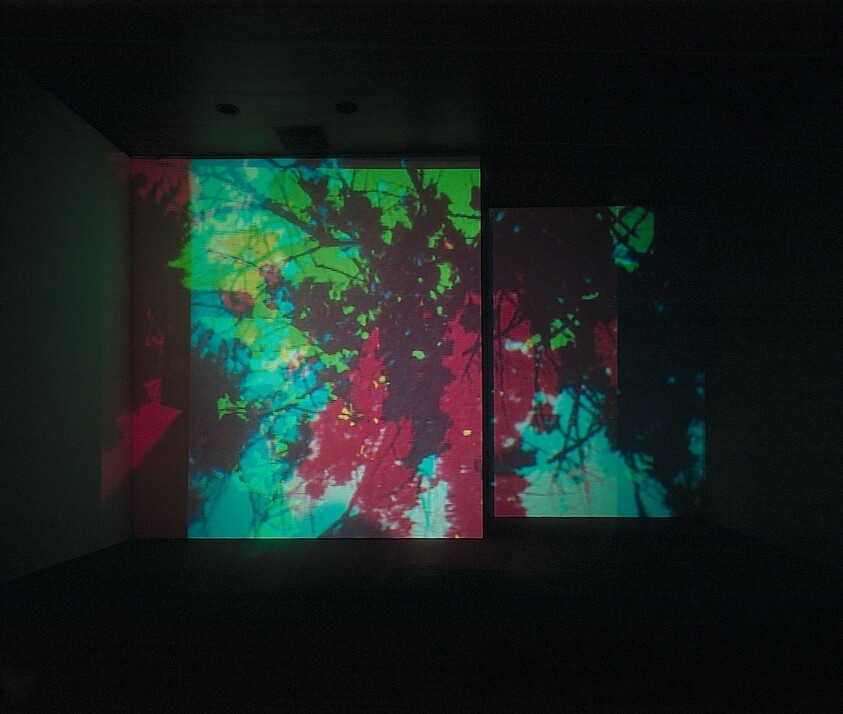 Colorful abstract projections on a dark room's walls and floor, creating an immersive art installation.
