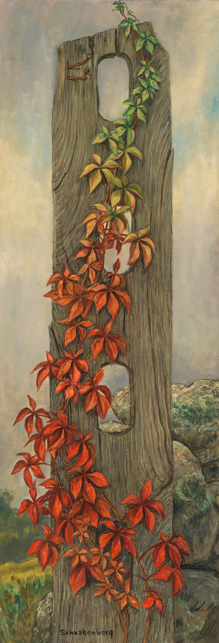 A climbing vine with red and green leaves winds up a weathered wooden post.