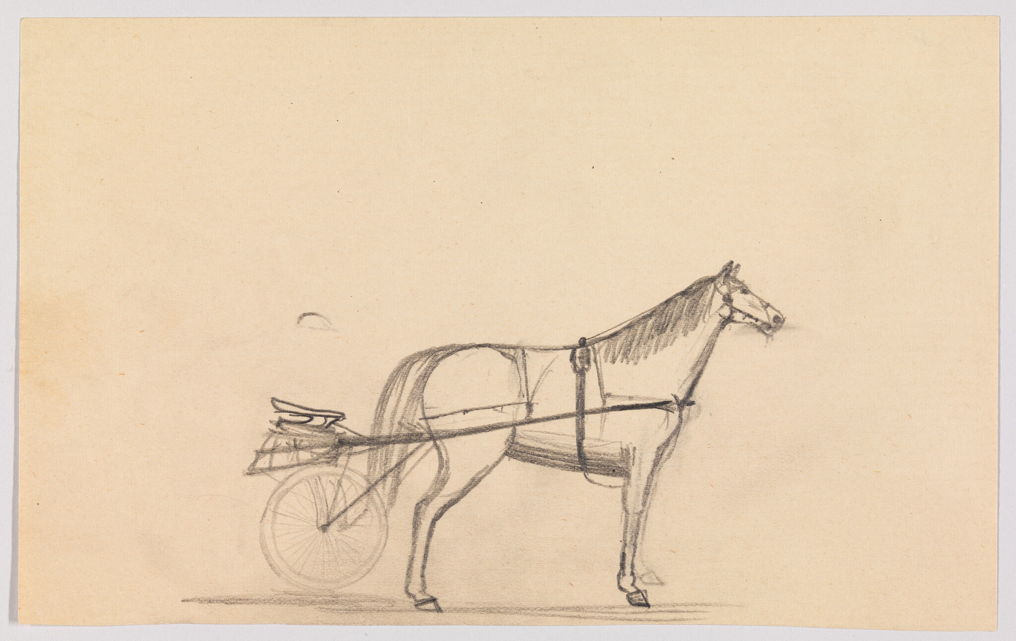 A pencil sketch shows a harnessed horse standing attached to a small two-wheeled cart.